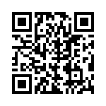 BZW04-17-B0G QRCode