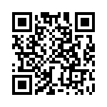 BZW04-213-R0G QRCode