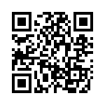 BZW04-33 QRCode