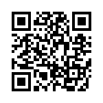 BZW04-33HR1G QRCode