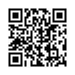 BZW04-53-R1G QRCode