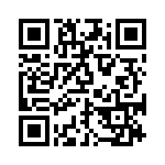 BZW04-6V4B-R1G QRCode