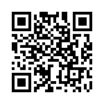 BZW04-9V4-R1G QRCode