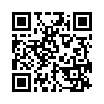 BZW06-13B-R0G QRCode