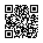 BZW06-13B QRCode