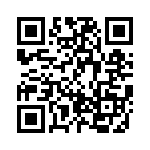 BZW06-171-B0G QRCode