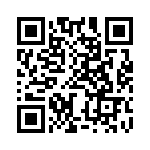 BZW06-299-B0G QRCode