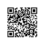 C13300_STRADA-2X2-T2 QRCode