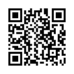 C333C393K5G5TA QRCode