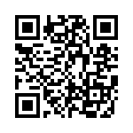 CE3391-33-333 QRCode