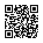 CE3392-33-333 QRCode