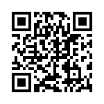 CNX_B_X_4_1_06 QRCode