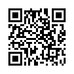 CNY17-3X017 QRCode