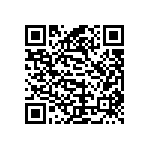 CP00033K300KE66 QRCode