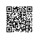 CP001039K00KE66 QRCode