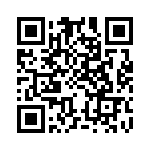 CRGV0805F133K QRCode