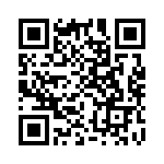 CT2904-2 QRCode