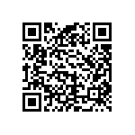 CW0101K100KE733 QRCode