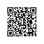 CW0101K300JE73HS QRCode