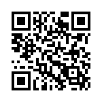 CW0101R300JE73 QRCode