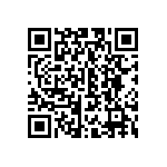 CW0103K300JE733 QRCode