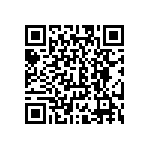 CW0104R300JE12HS QRCode