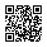 D09P80C4PA00 QRCode