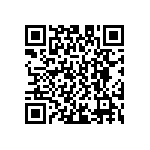 D55342E07B107ERWS QRCode