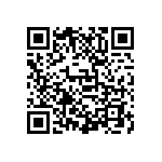 D55342E07B118ERWS QRCode