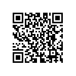 D55342E07B130BRWI QRCode