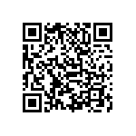 D55342E07B13B0R QRCode