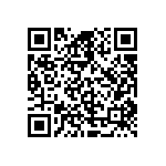 D55342E07B193BMWS QRCode