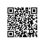 D55342E07B196ERWS QRCode