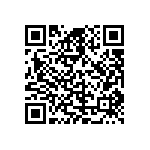 D55342E07B1E62CWS QRCode