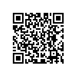 D55342E07B200BPWS QRCode