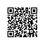 D55342E07B210ERWS QRCode