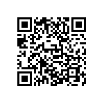 D55342E07B287ARWS QRCode