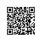 D55342E07B287BRT5 QRCode