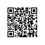 D55342E07B287ERWS QRCode