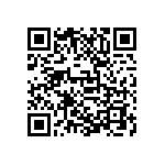 D55342E07B294ERWS QRCode