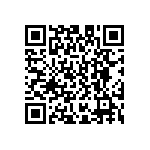 D55342E07B2B50PWS QRCode