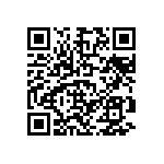 D55342E07B2B94PWS QRCode