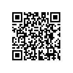 D55342E07B33B2RTP QRCode