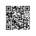 D55342E07B383ARTP QRCode