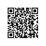 D55342E07B383DRWS QRCode