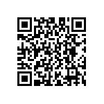 D55342E07B3B24RWS QRCode