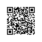 D55342E07B464ERWS QRCode