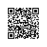 D55342E07B499BPWS QRCode