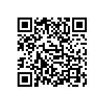 D55342E07B499BRTP QRCode