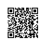 D55342E07B4B99RT5 QRCode